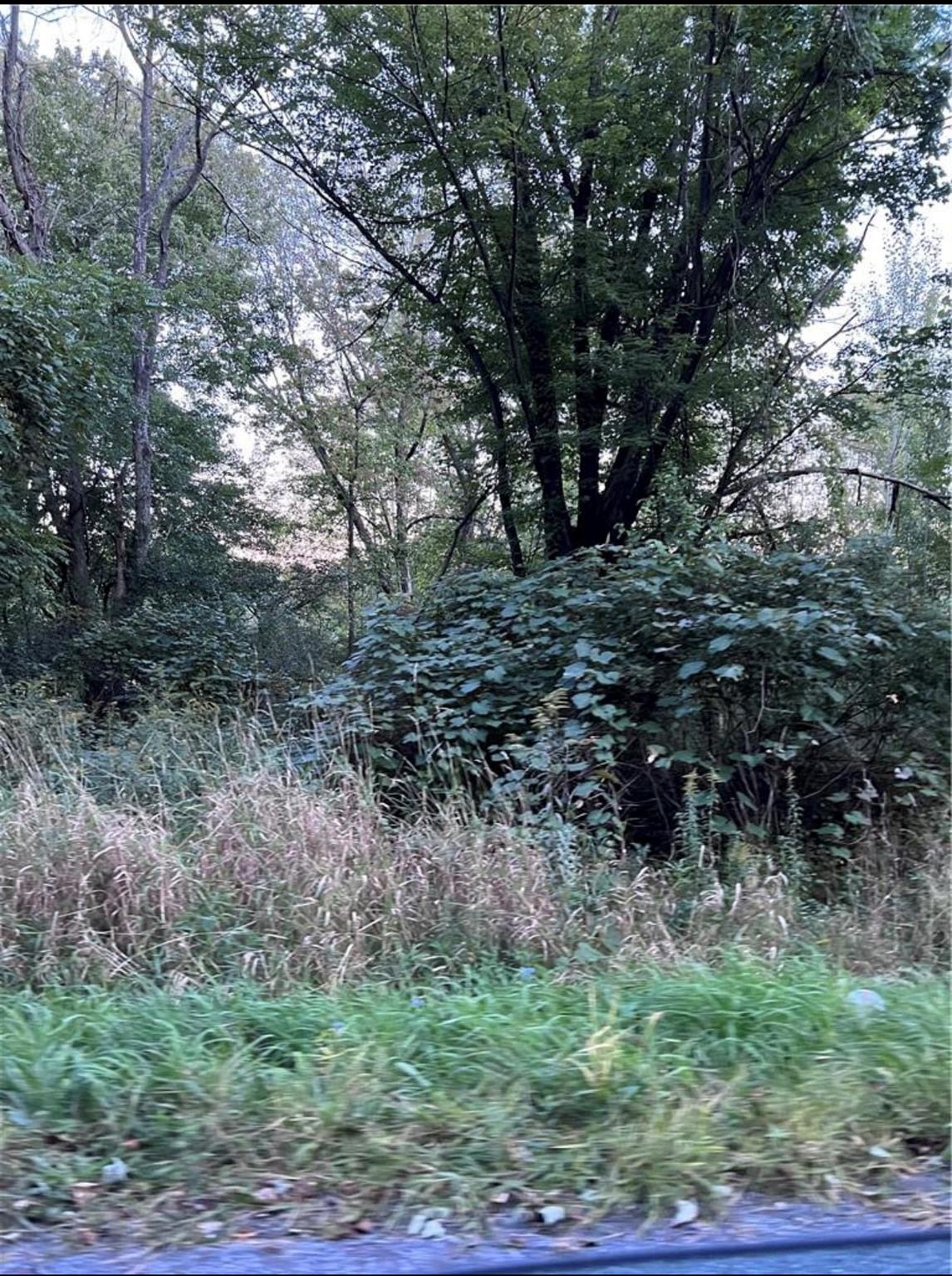 Greenville Turnpike, Port Jervis, New York image 1