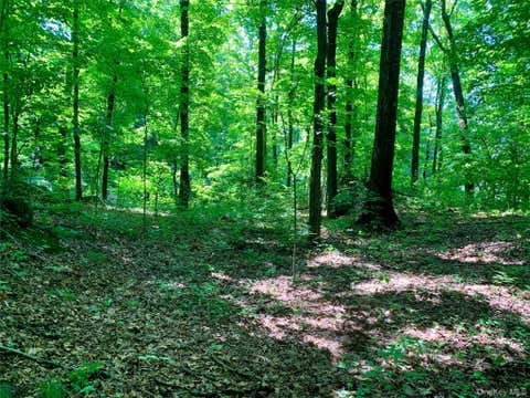 Vacant Land For Sale - 15 Church Street<br/> Dutchess County, Hyde Park, NY 12538