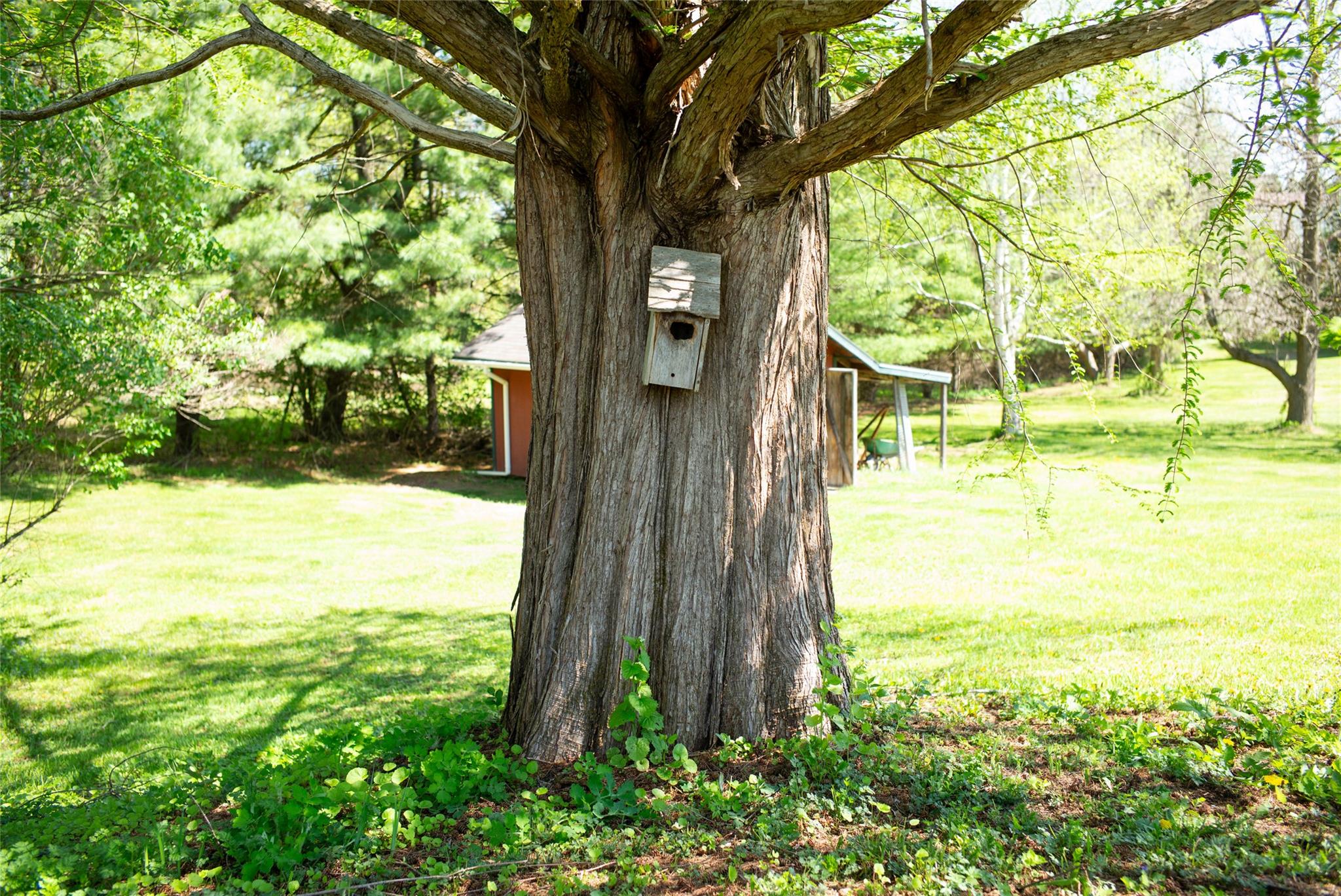 48 Vosburgh Road, Red Hook, New York image 23