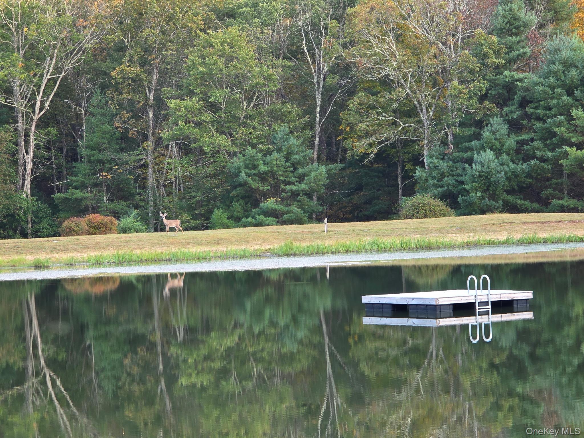 Photo 1 of 8 — Split Rock Drive, Barryville, NY 12719