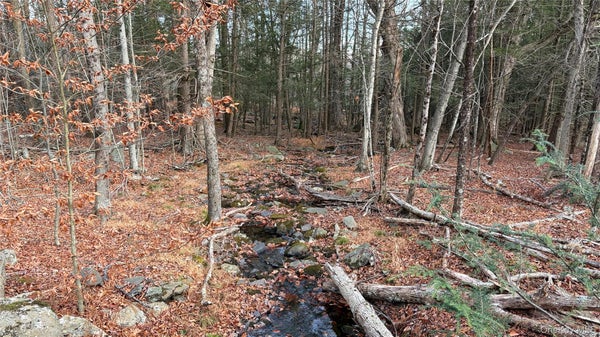 ADDRESS PRIVATE, WURTSBORO, NY 12790 - Image df60beb732f0e17cda1655885aa24cfa/632537159