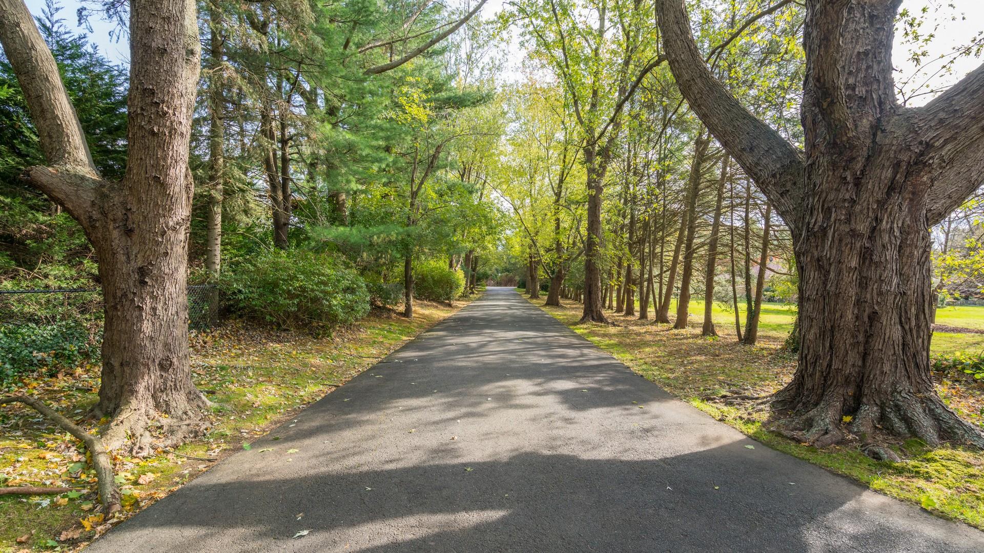 46 Morgan Drive, Old Westbury, New York image 3