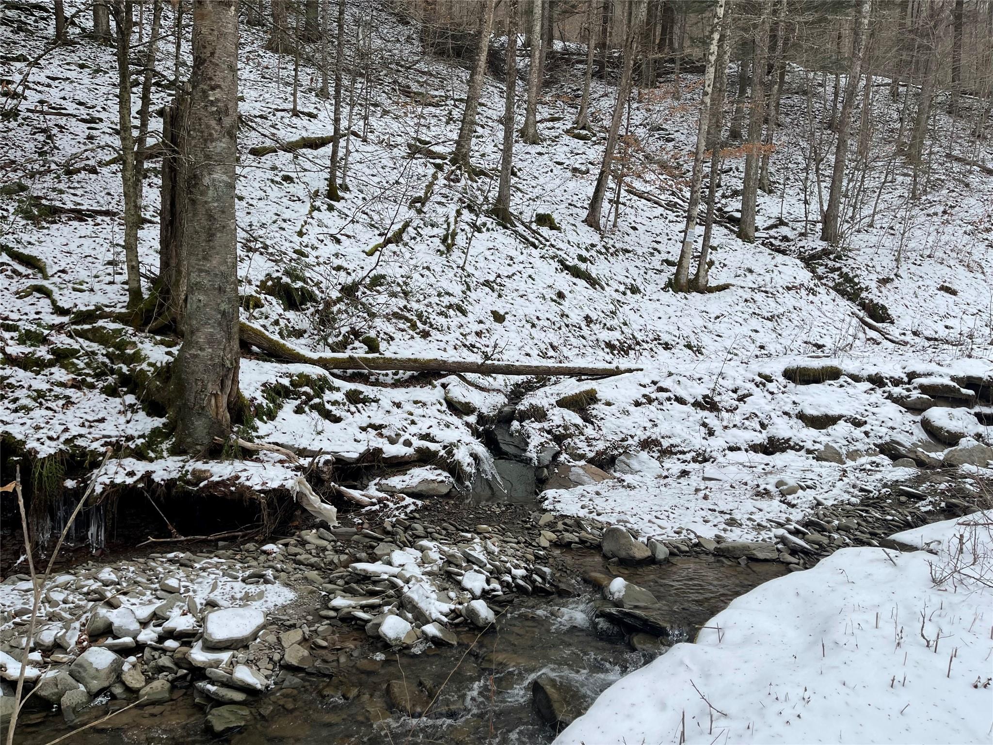 Carcass Brook Spur, Hancock, New York image 8