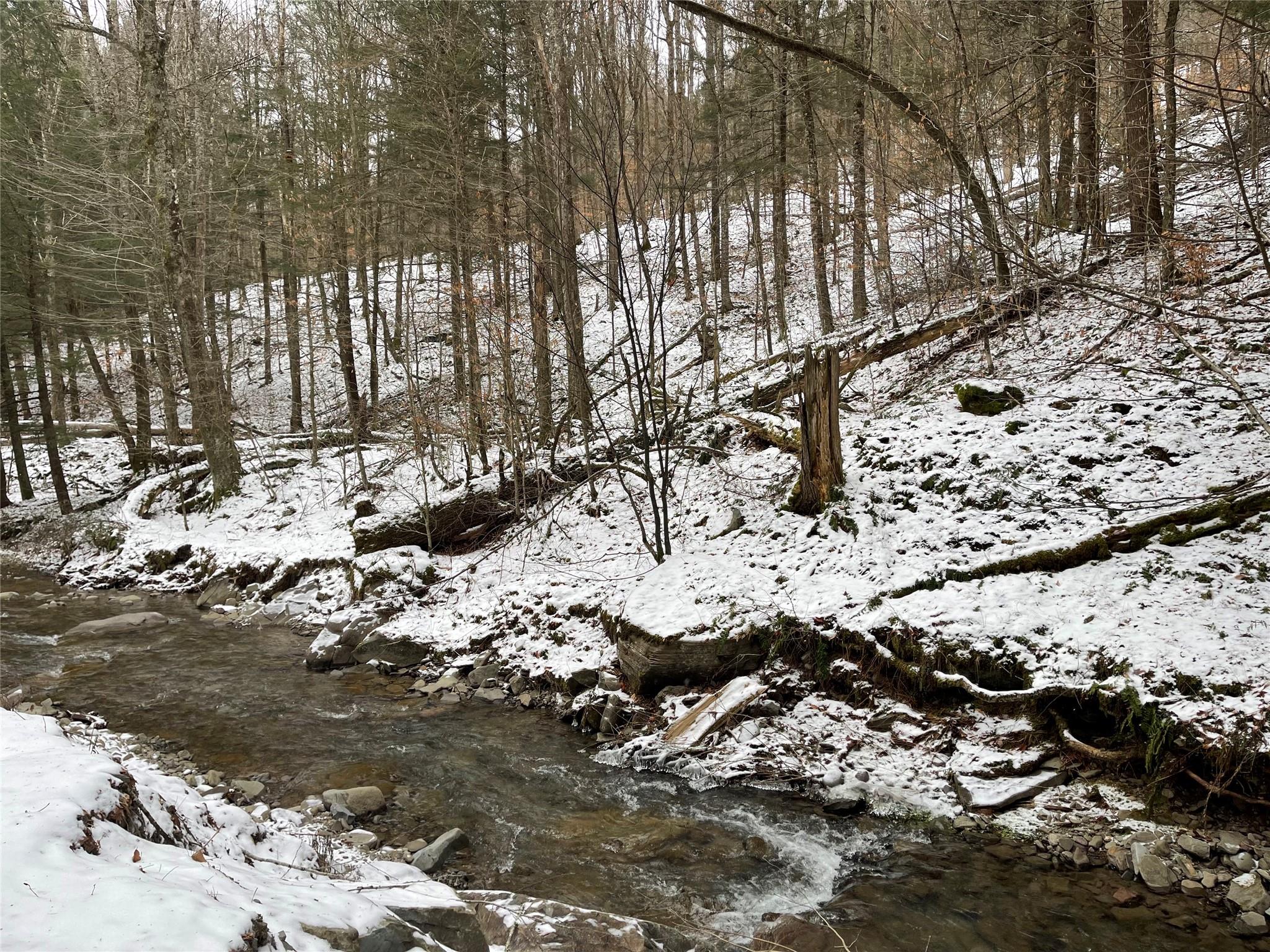 Carcass Brook Spur, Hancock, New York image 11