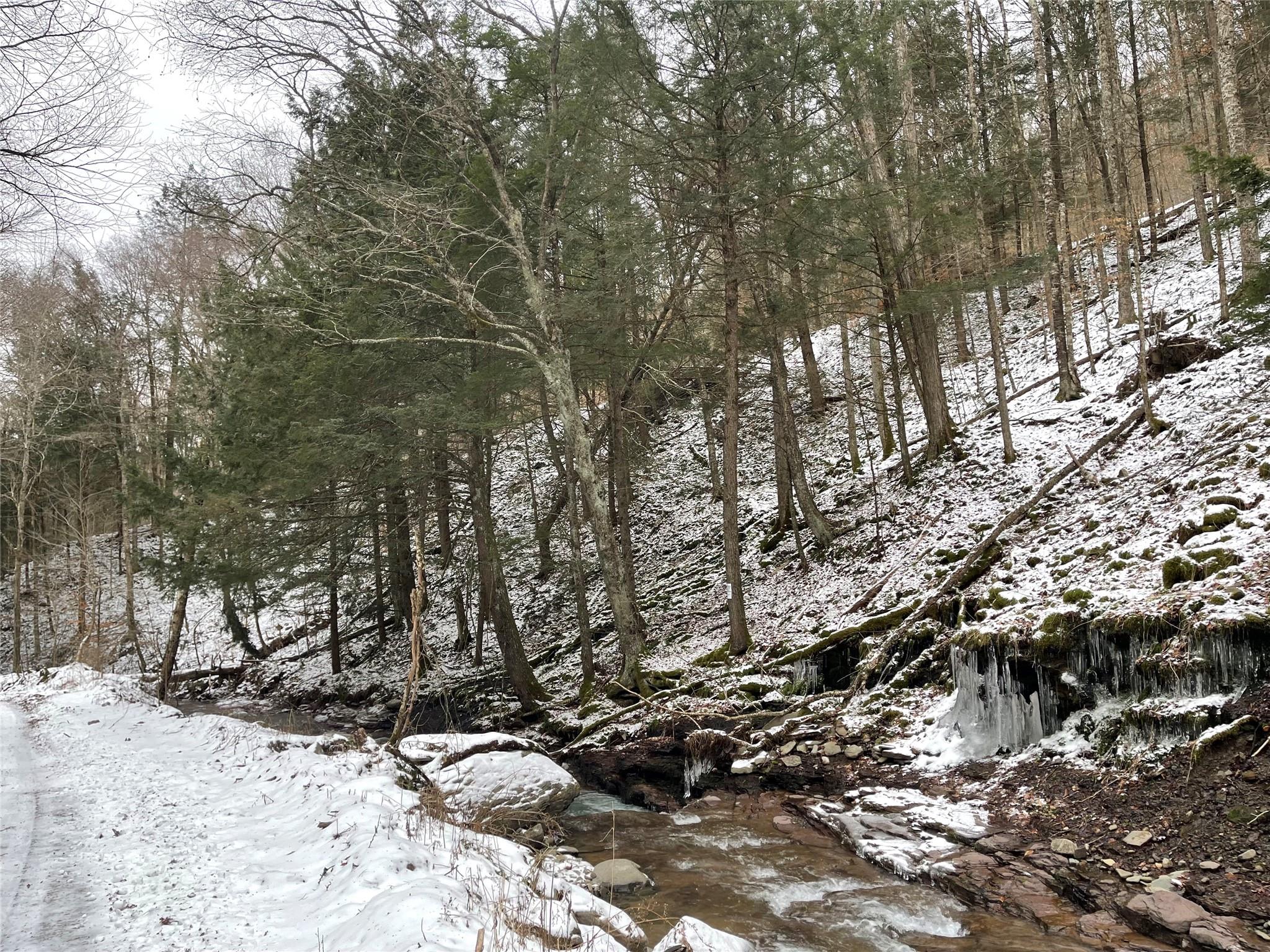 Carcass Brook Spur, Hancock, New York image 5