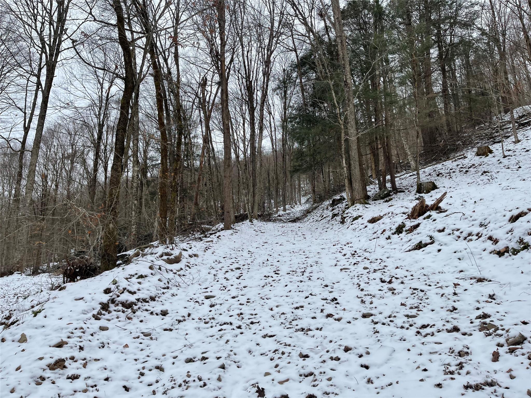 Carcass Brook Spur, Hancock, New York image 9