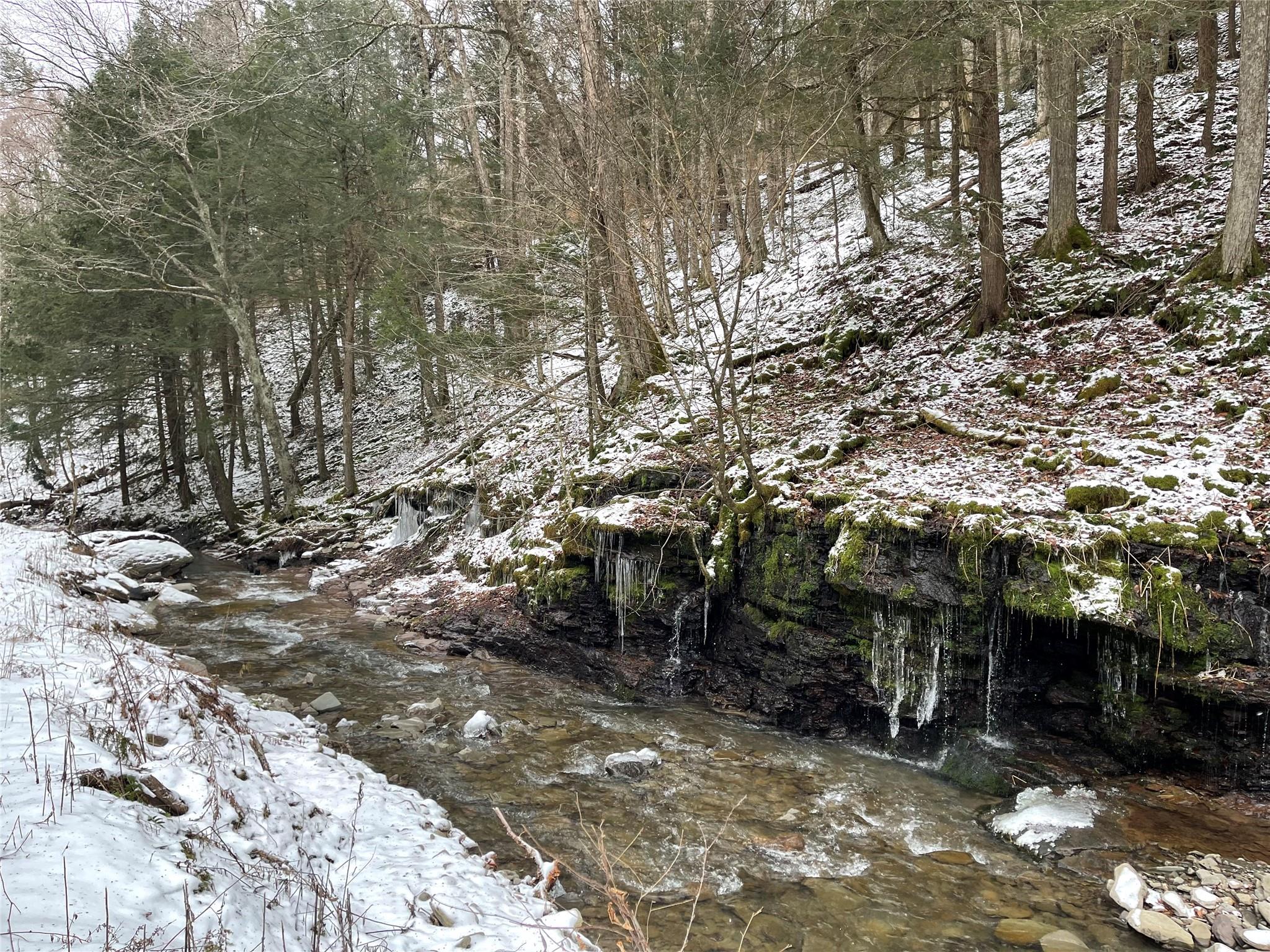 Carcass Brook Spur, Hancock, New York image 3