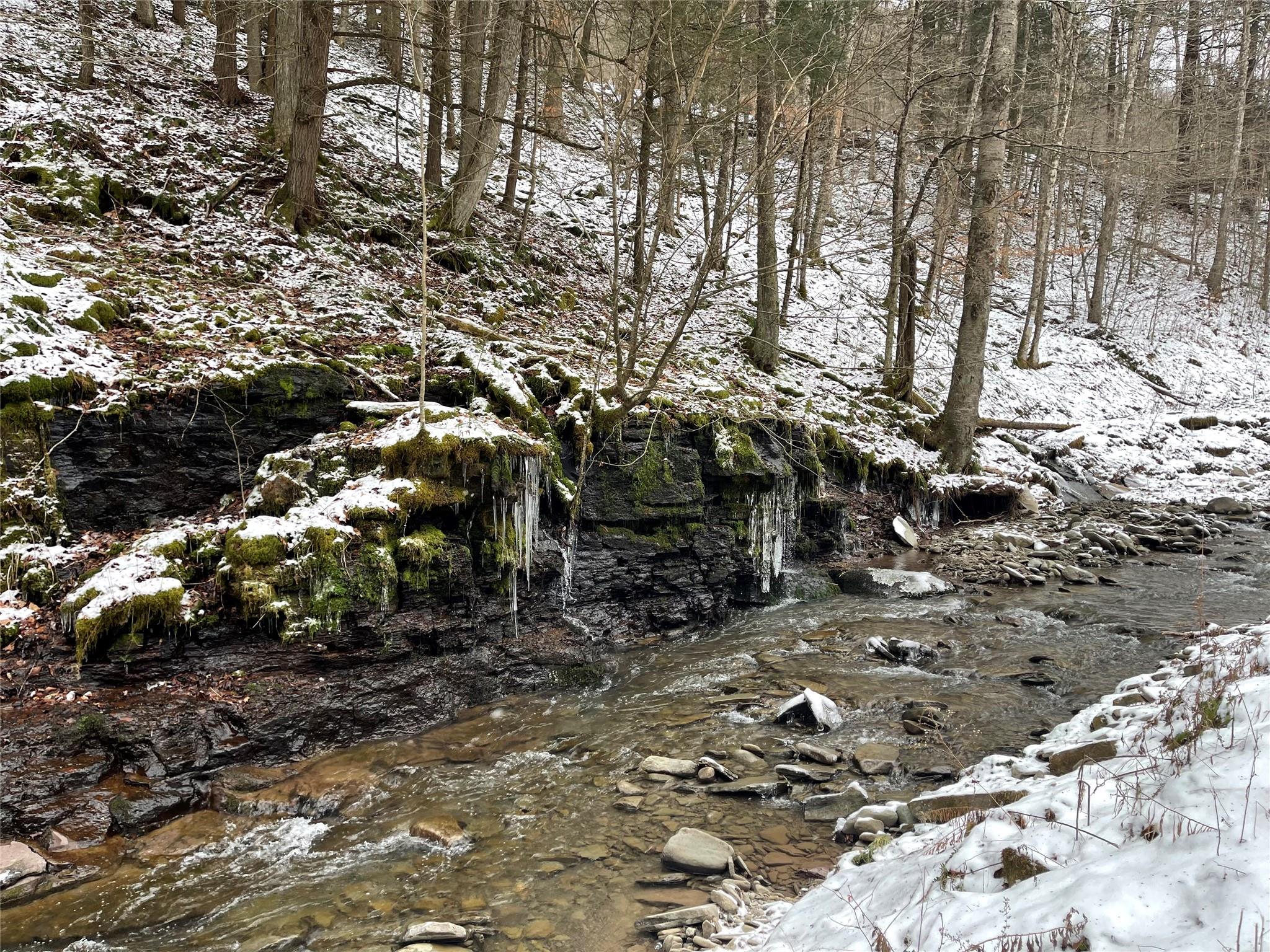 Carcass Brook Spur, Hancock, New York image 10