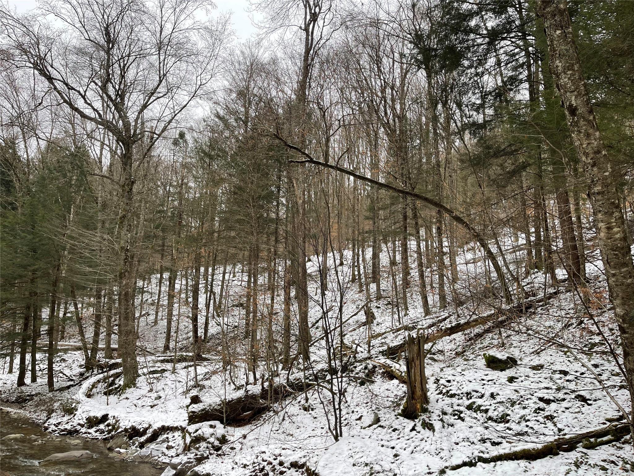 Carcass Brook Spur, Hancock, New York image 16