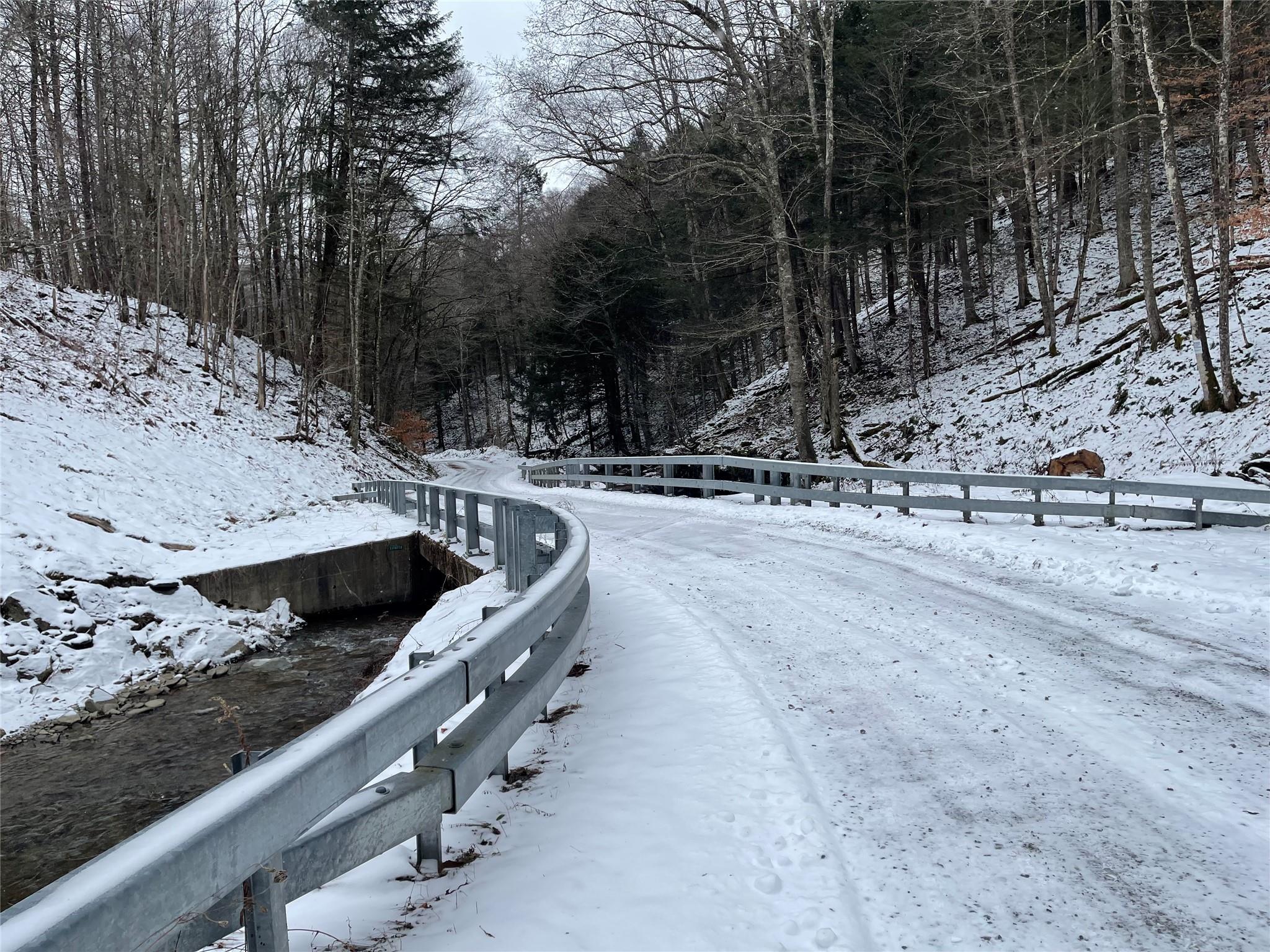 Carcass Brook Spur, Hancock, New York image 12