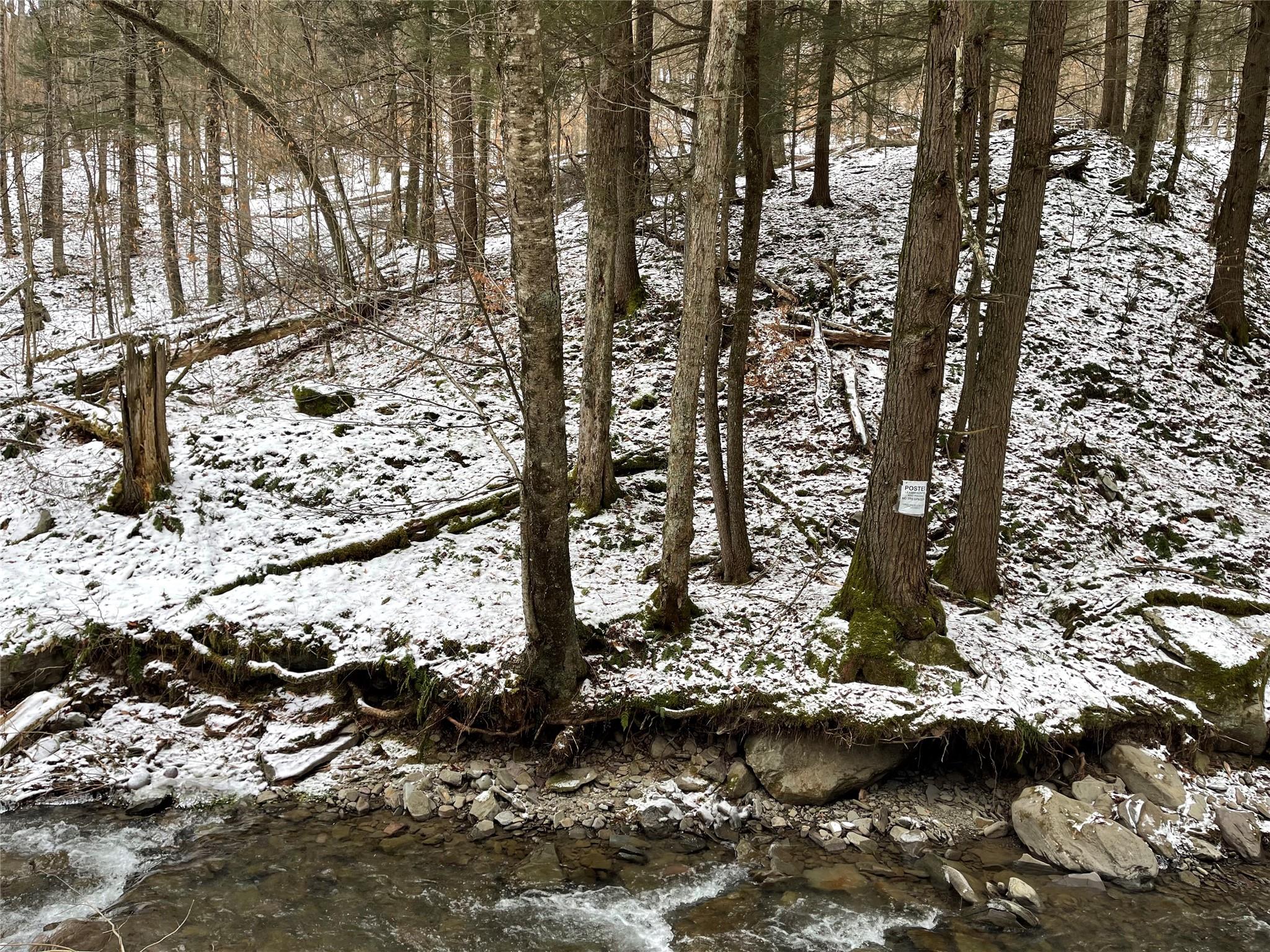 Carcass Brook Spur, Hancock, New York image 17