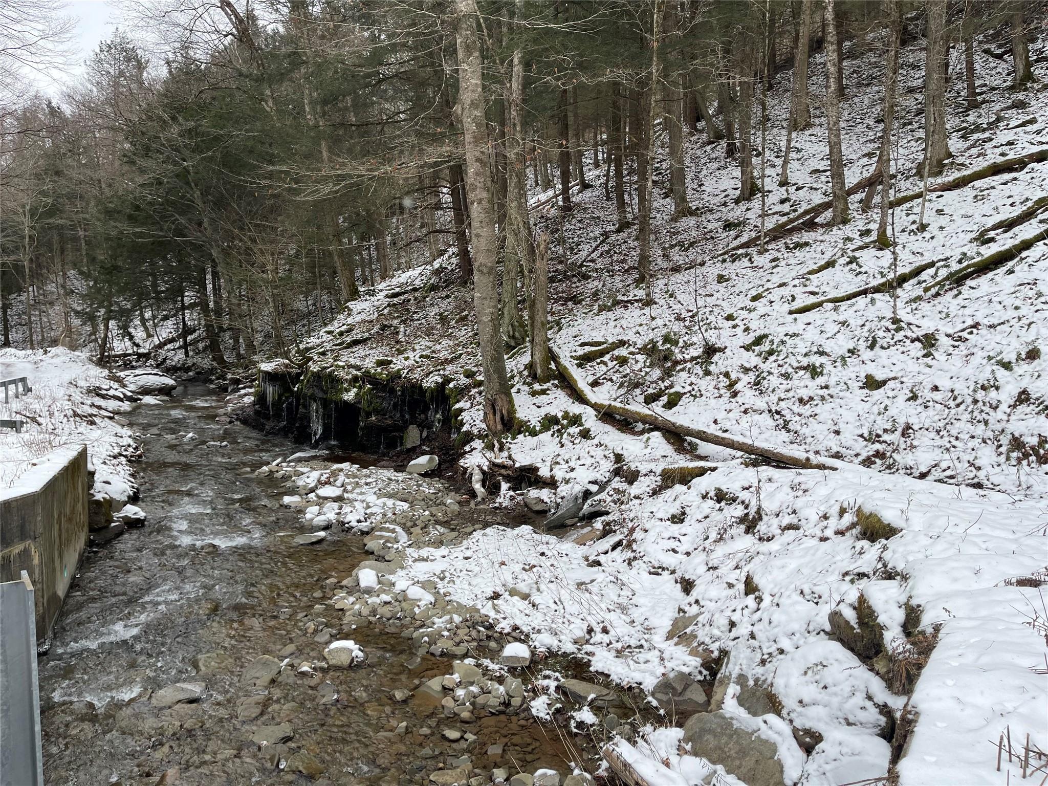 Carcass Brook Spur, Hancock, New York image 4