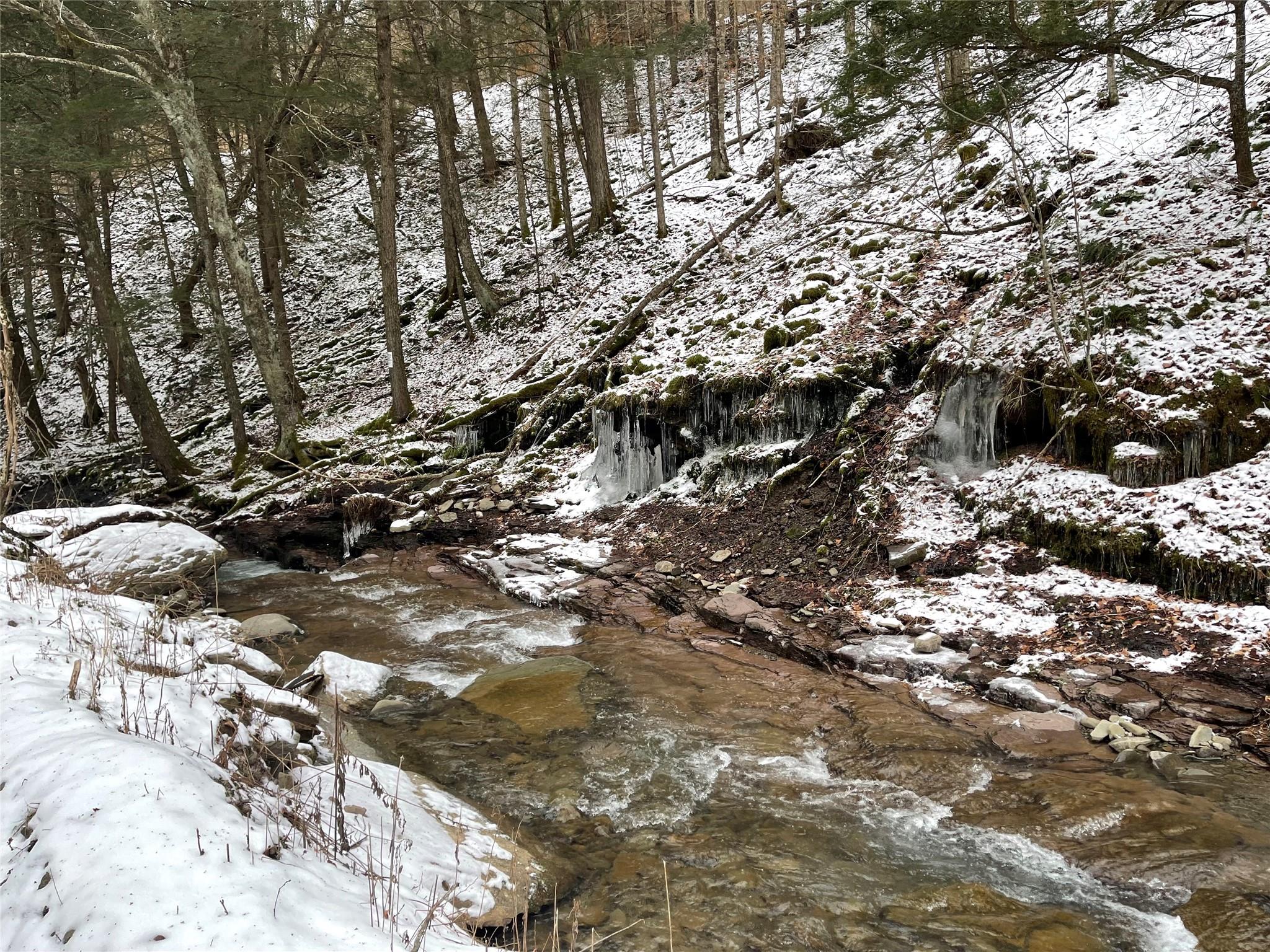 Carcass Brook Spur, Hancock, New York image 1