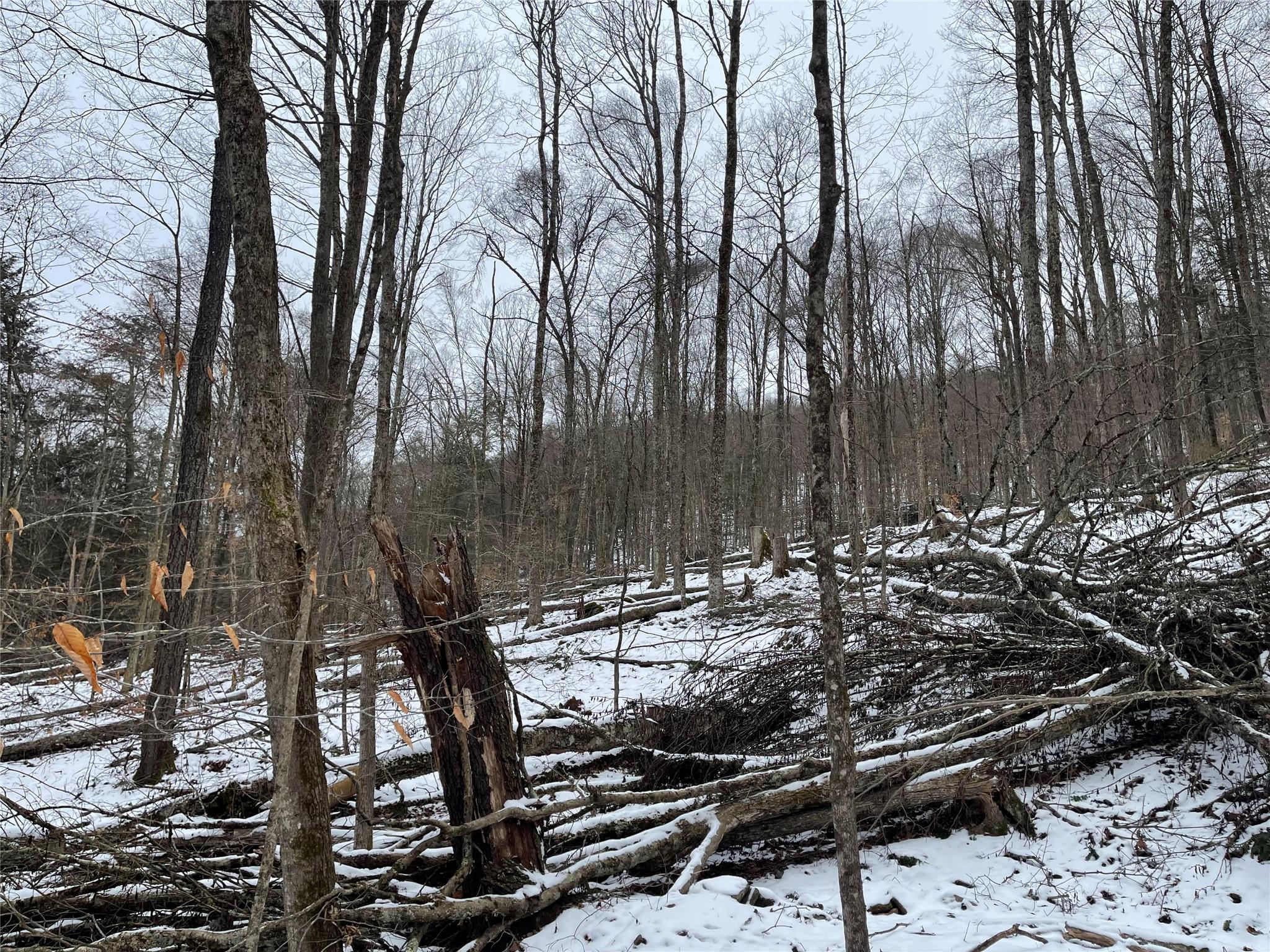 Carcass Brook Spur, Hancock, New York image 7