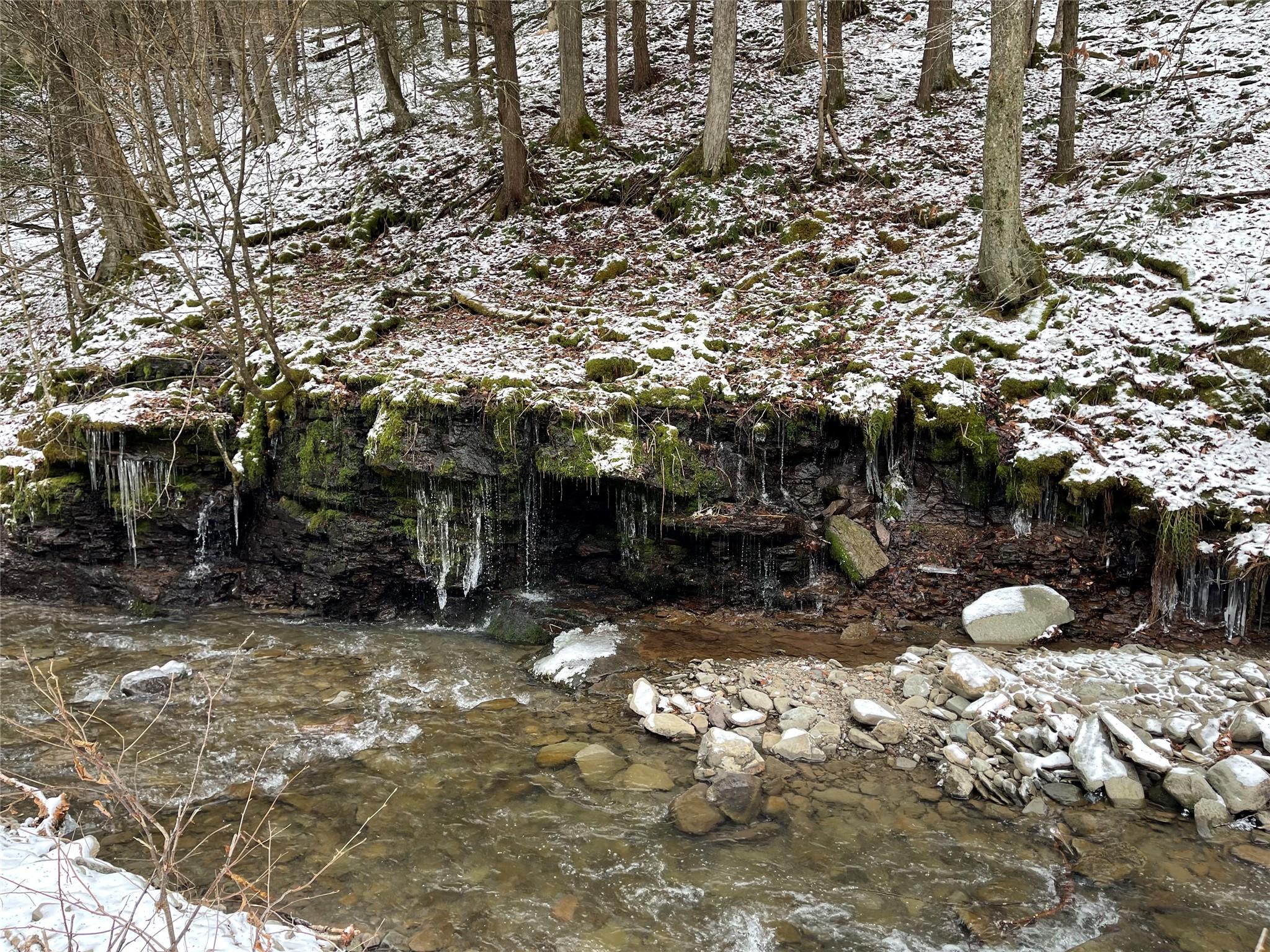 Carcass Brook Spur, Hancock, New York image 2