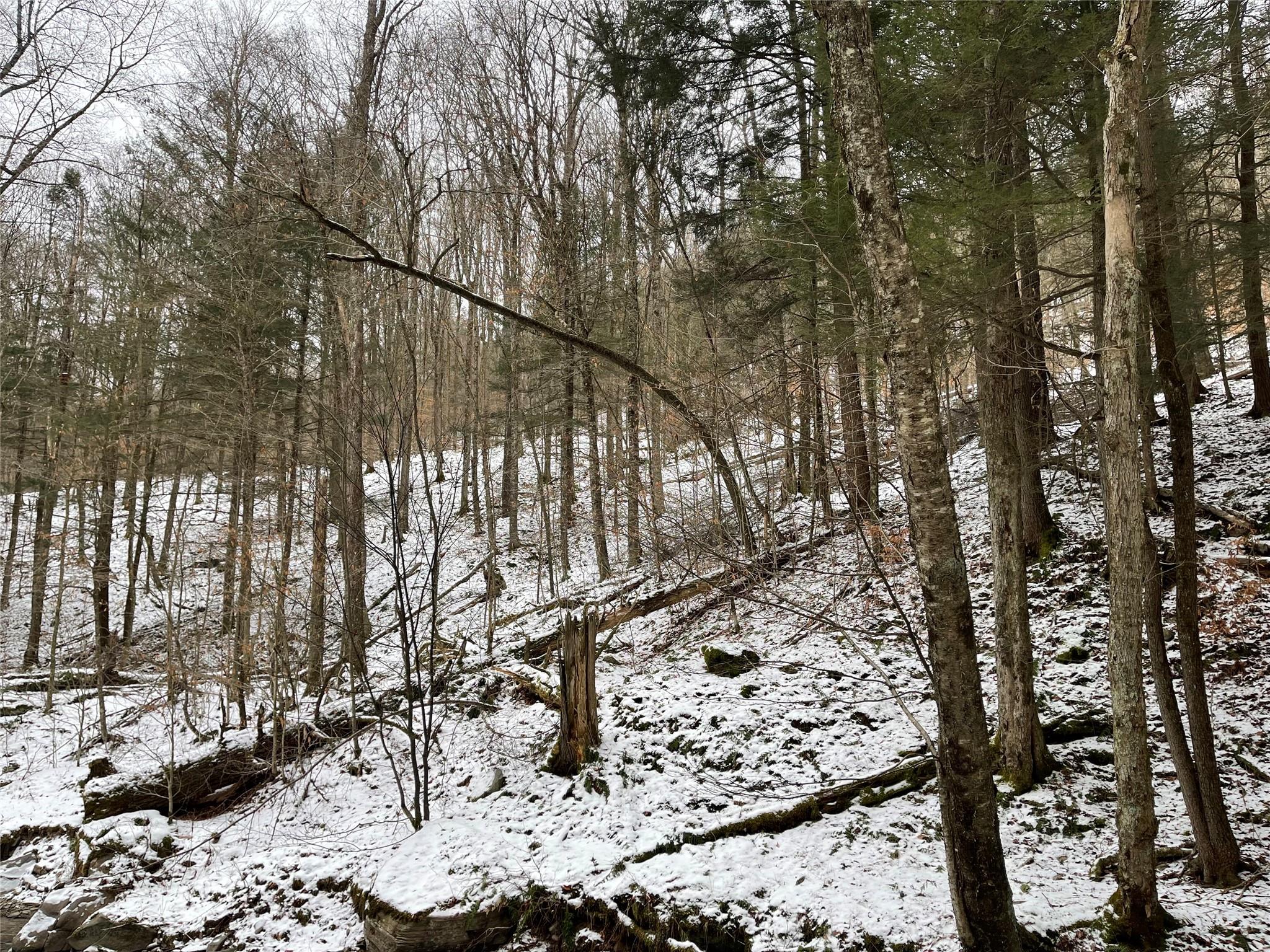 Carcass Brook Spur, Hancock, New York image 18