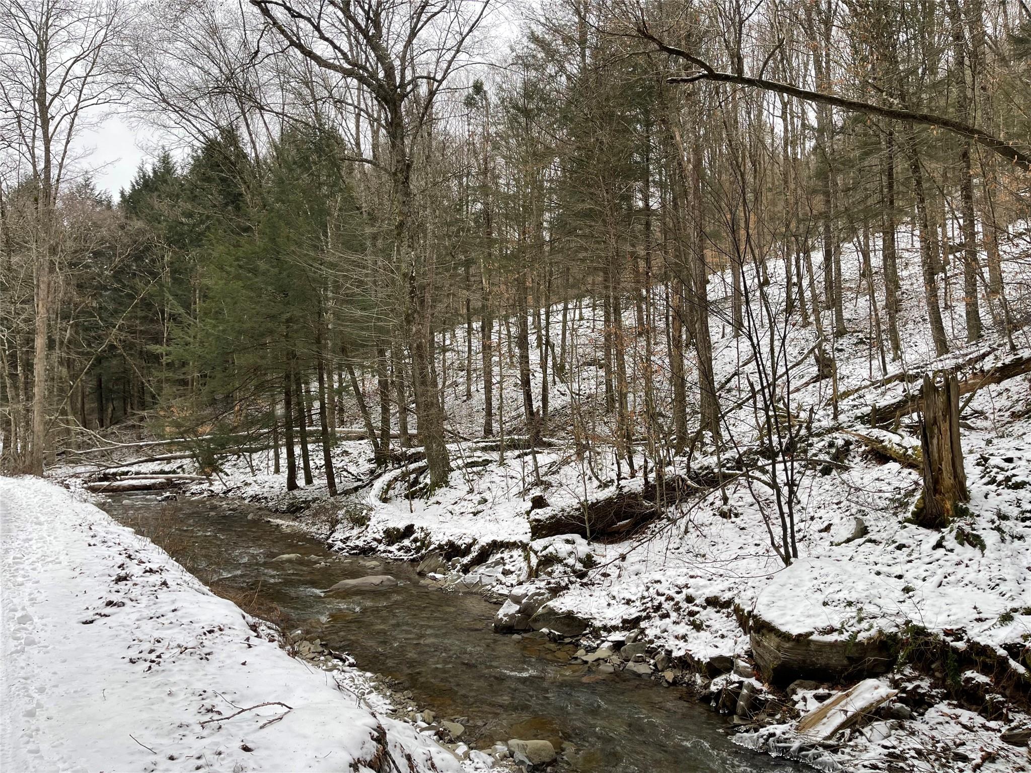 Carcass Brook Spur, Hancock, New York image 19