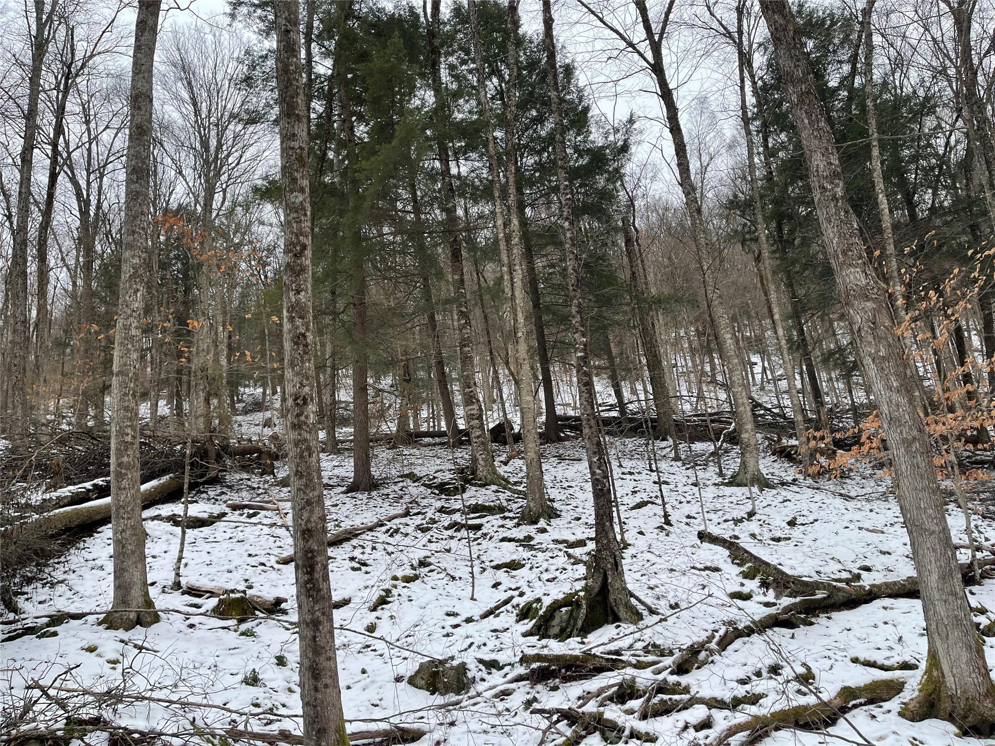 Carcass Brook Spur, Hancock, New York image 6