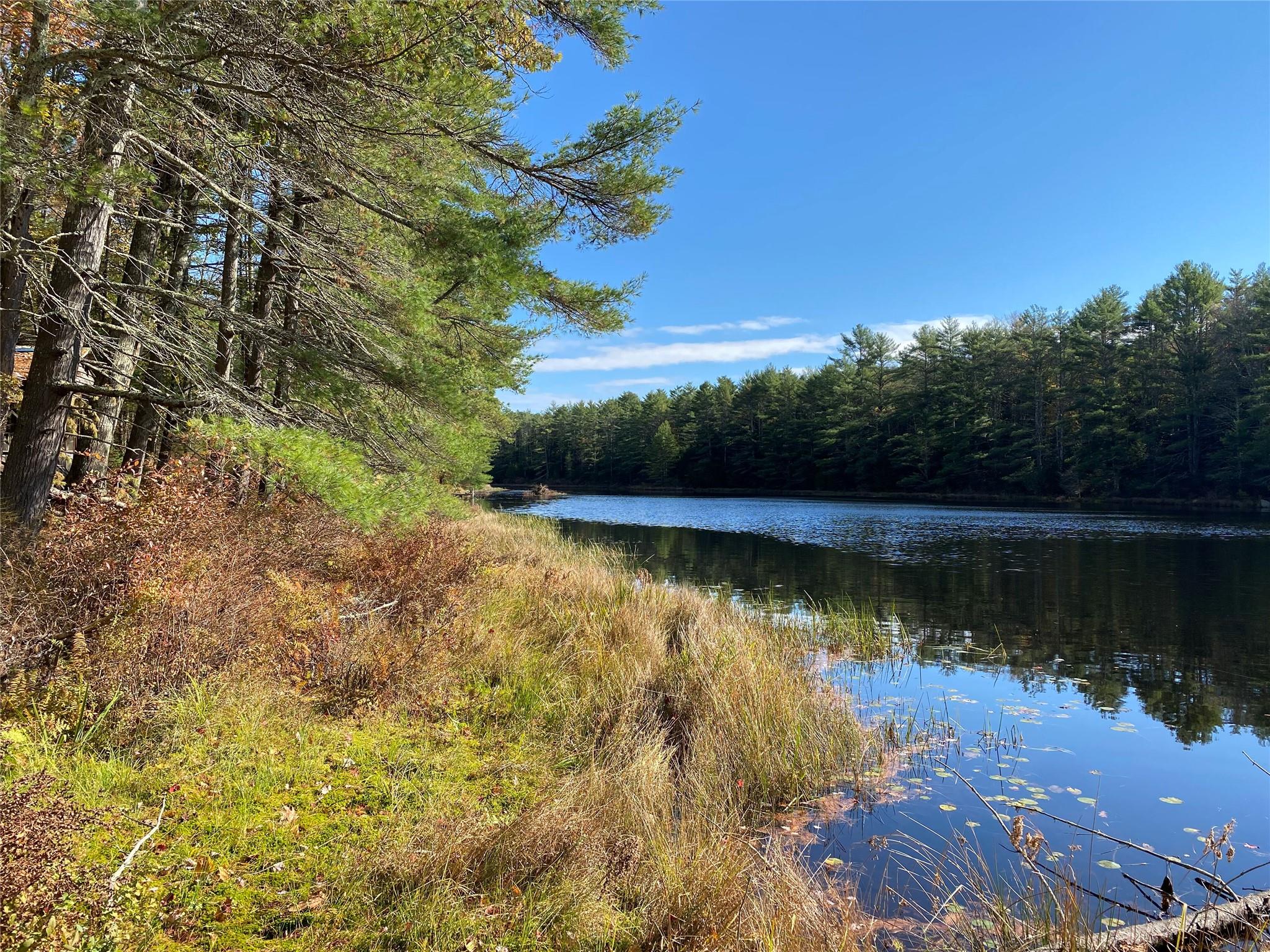 Stag Forest Road, Forestburgh, New York image 20
