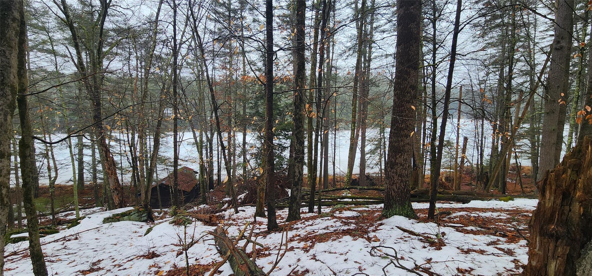 Stag Forest Road, Forestburgh, New York image 10