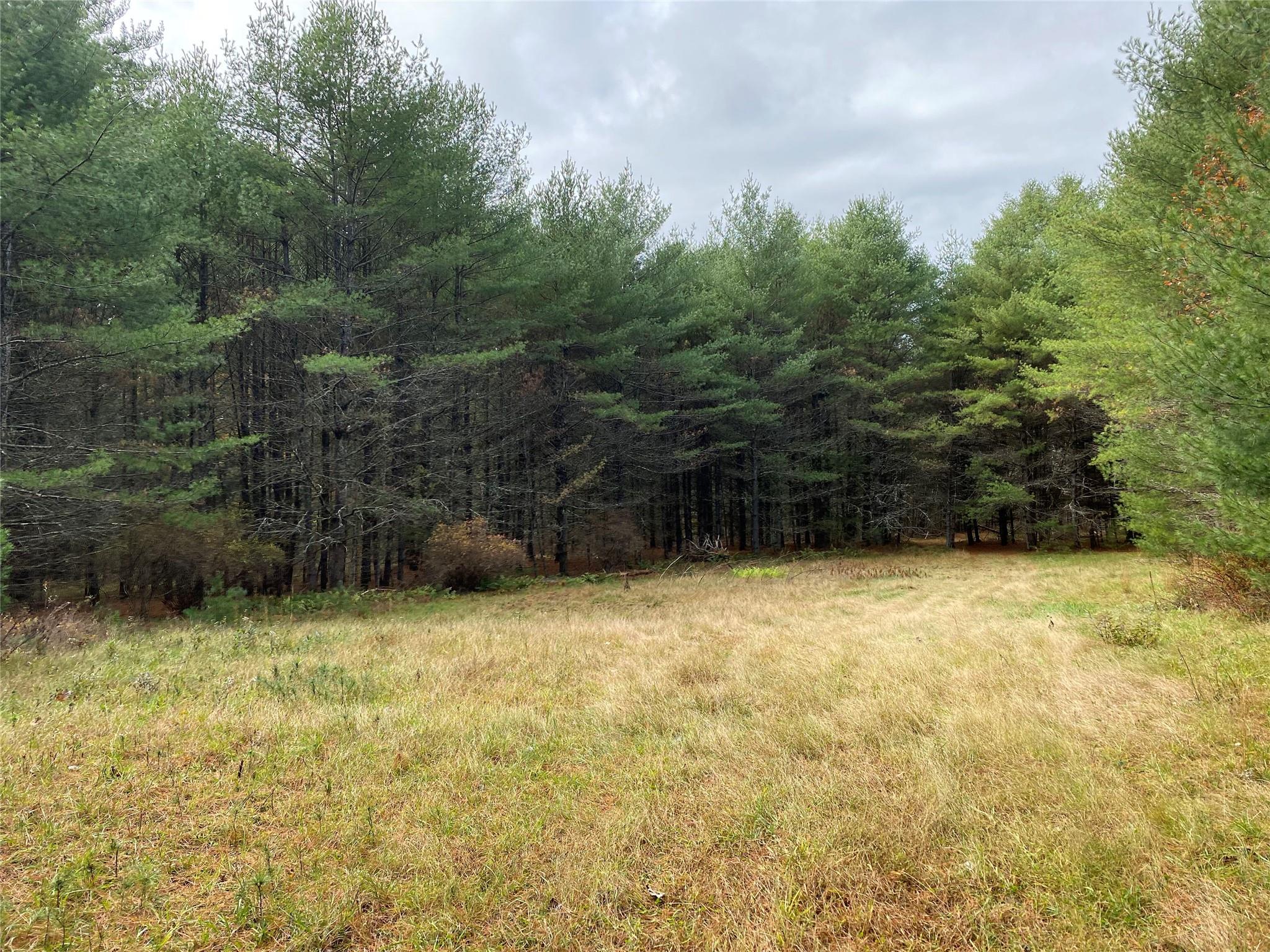 Stag Forest Road, Forestburgh, New York image 19