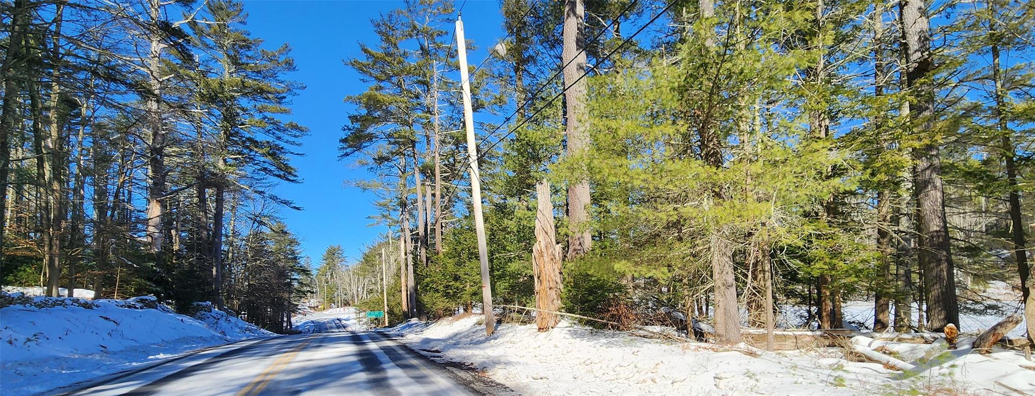 Stag Forest Road, Forestburgh, New York image 6