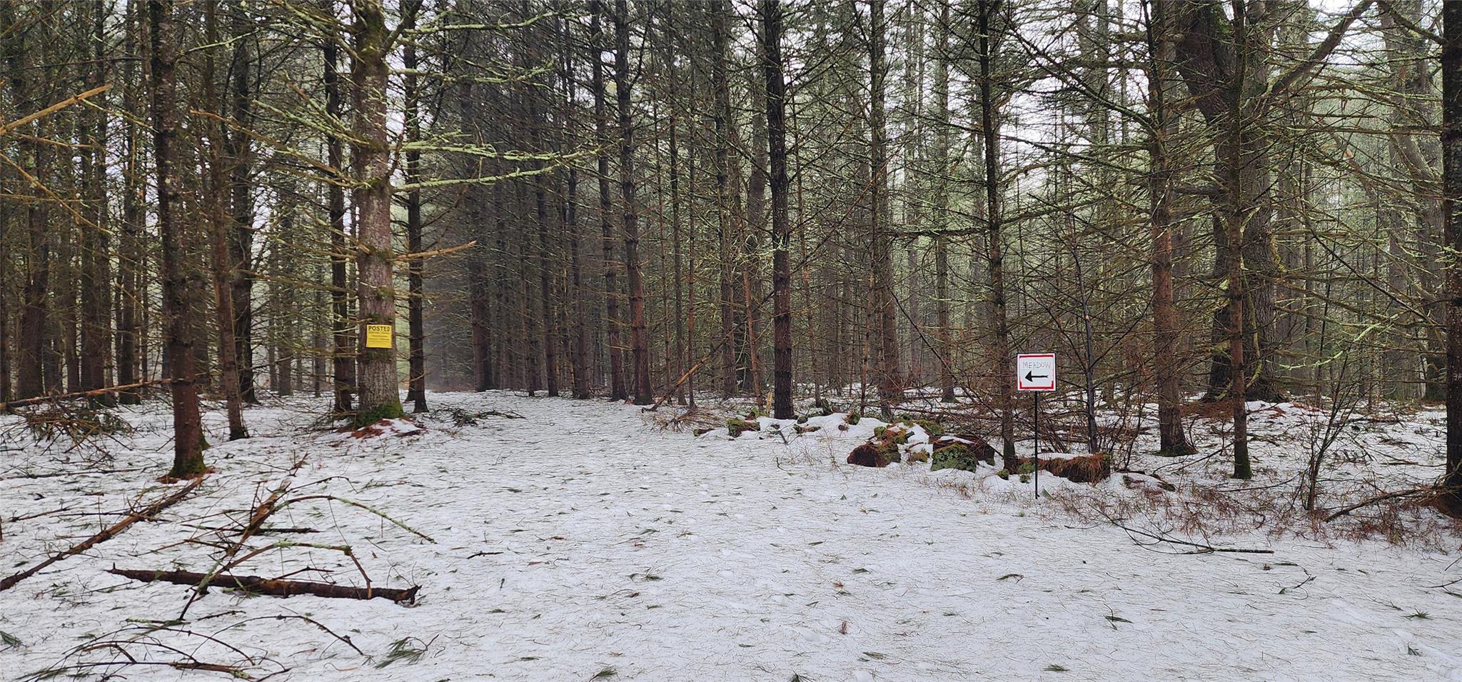 Stag Forest Road, Forestburgh, New York image 12