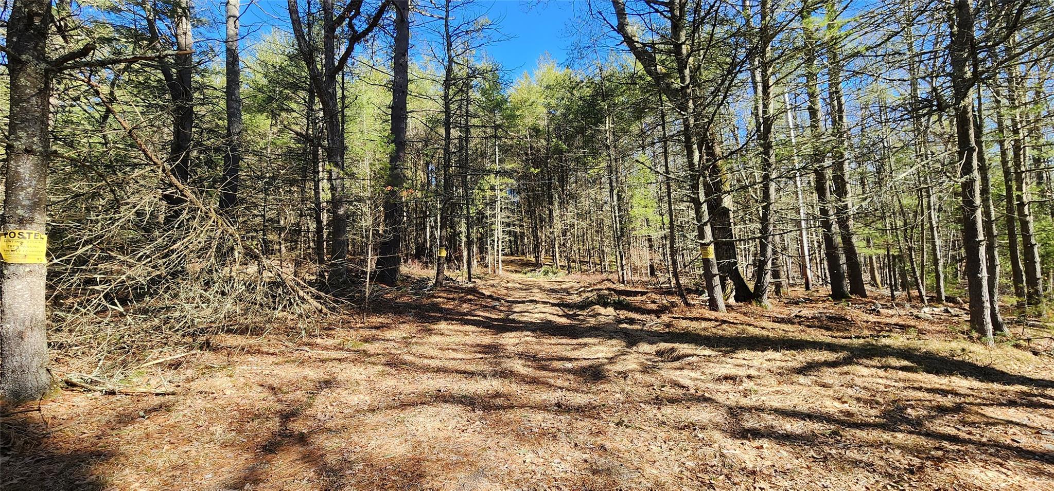 Stag Forest Road, Forestburgh, New York image 20