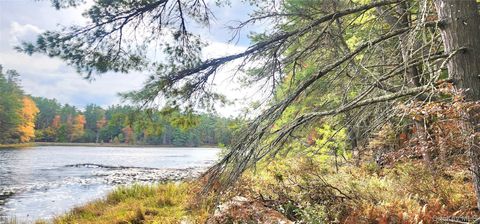 Vacant Land For Sale - Stag Forest Road<br/> Forestburgh, NY 12777