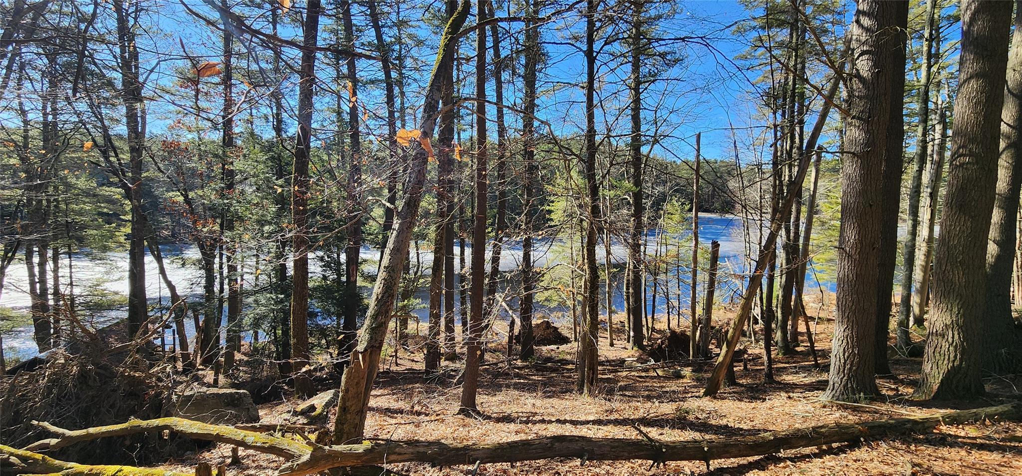 Stag Forest Road, Forestburgh, New York image 2