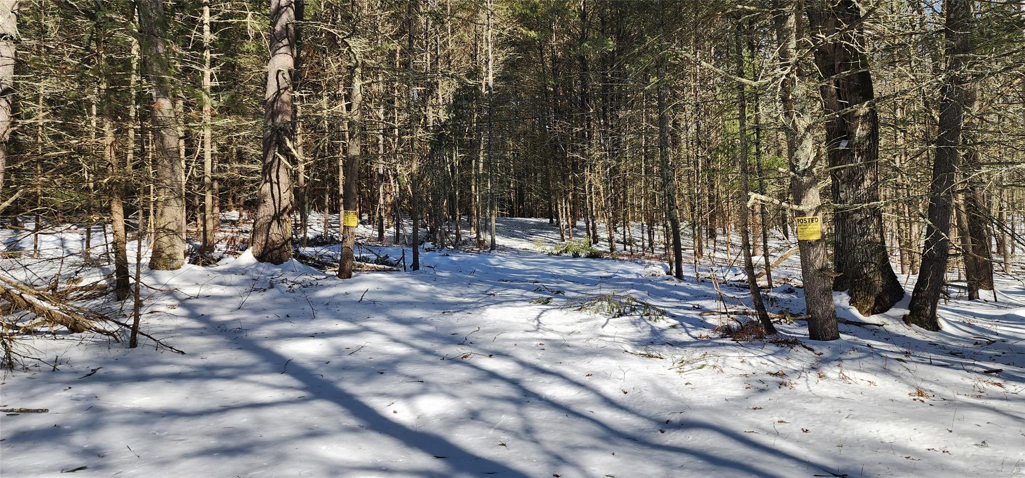 Stag Forest Road, Forestburgh, New York image 25