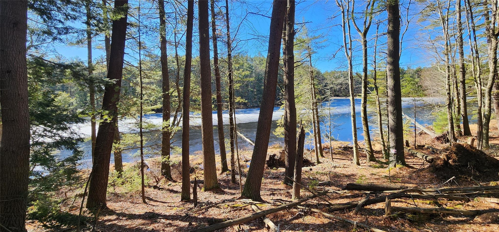 Stag Forest Road, Forestburgh, New York image 4