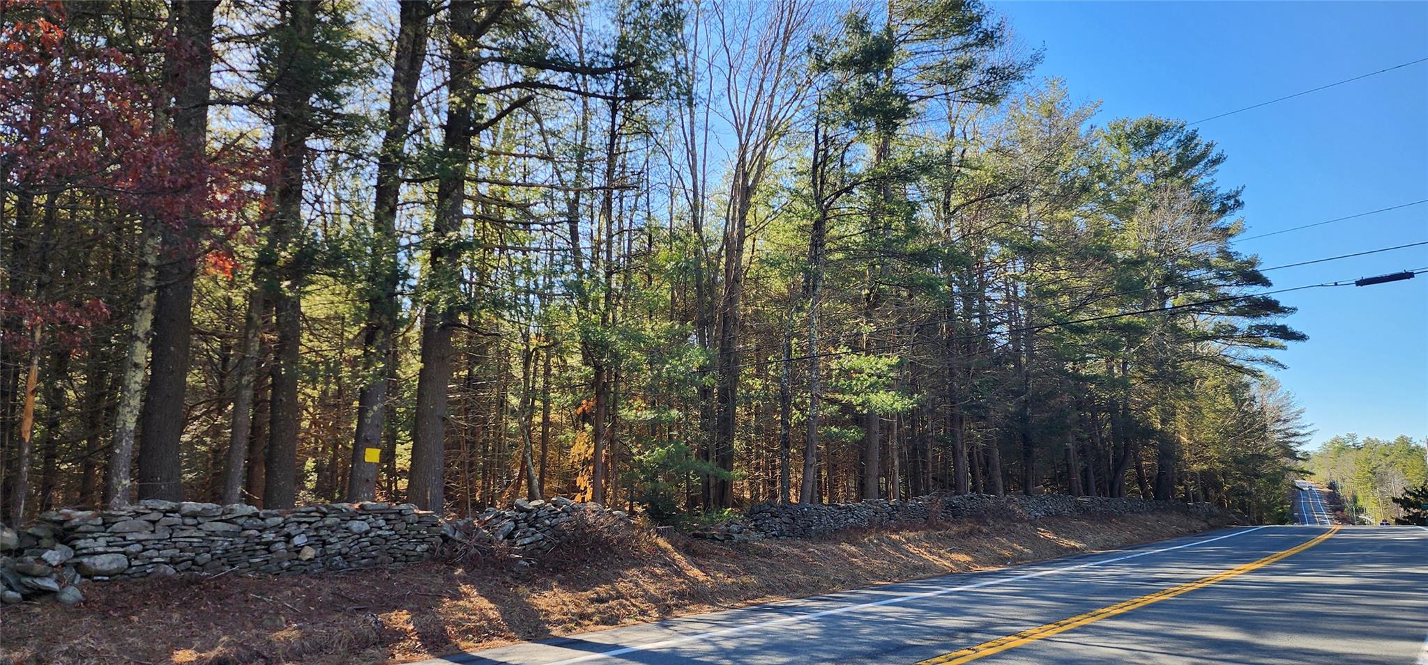 Stag Forest Road, Forestburgh, New York image 16