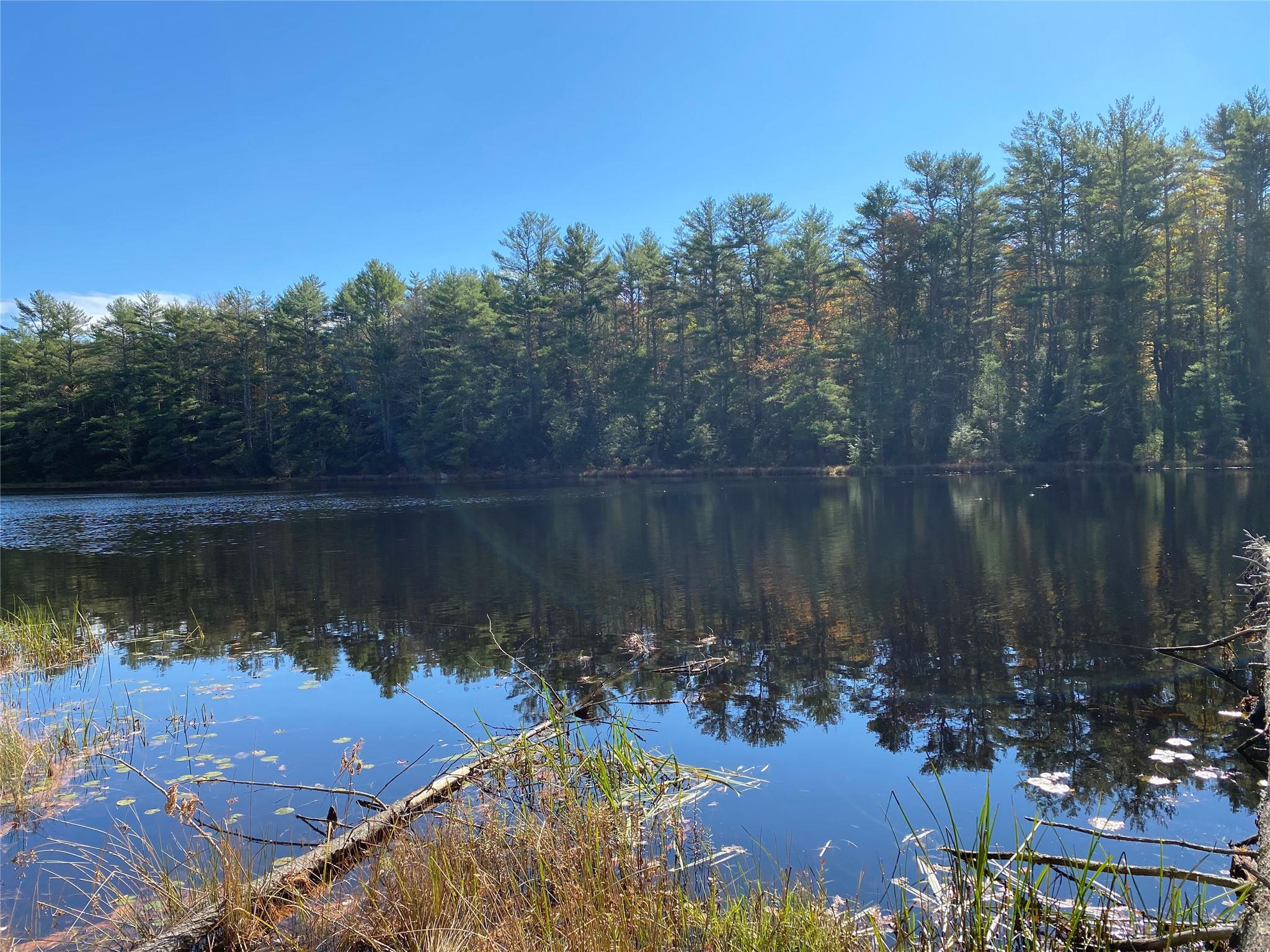 Stag Forest Road, Forestburgh, New York image 21