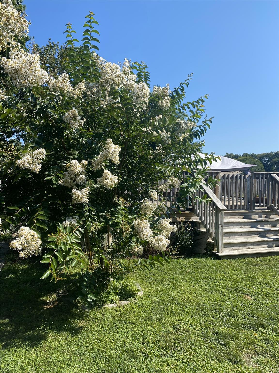123 Superior Street, Port Jefferson Station, New York image 11