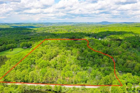 Vacant Land For Sale - PARCEL 1 - TBD Woodstock Road<br/> Millbrook, NY 12545