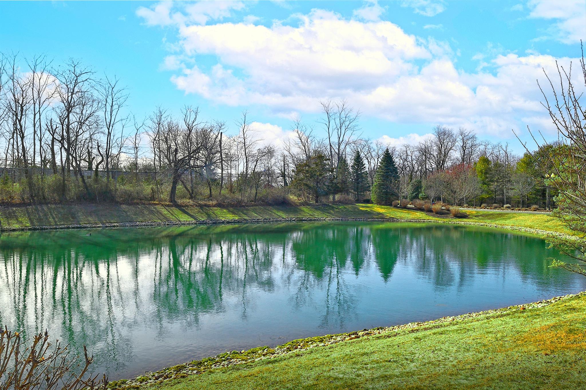 50 Blair Road #50, East Setauket, New York image 33