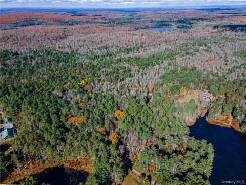 Vacant Land For Sale - 1 Philwold Road<br/> Forestburgh, NY 12777