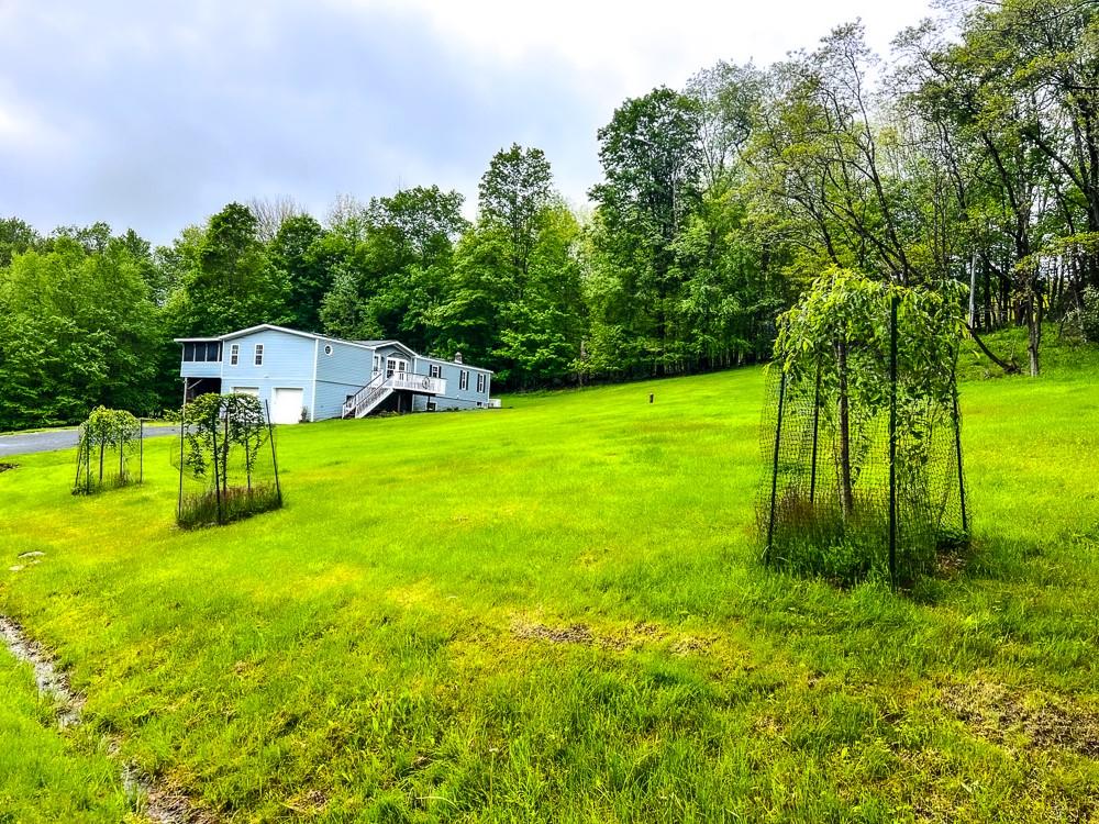 521 Hessinger Lare Road, Jeffersonville, New York image 4