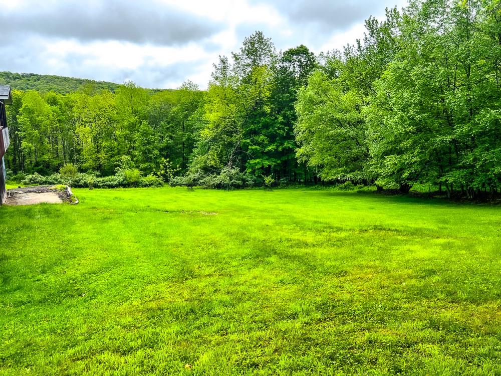 521 Hessinger Lare Road, Jeffersonville, New York image 38