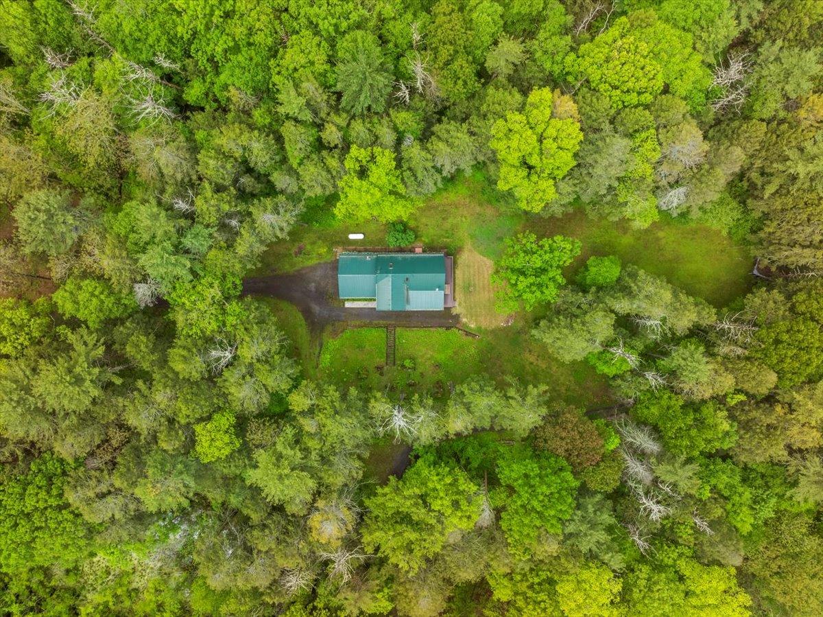 40 Old Travis Road, Catskill, New York image 37