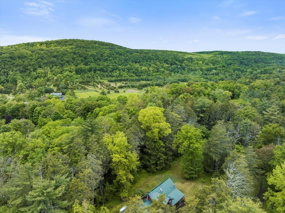 40 Old Travis Road, Catskill, New York image 38