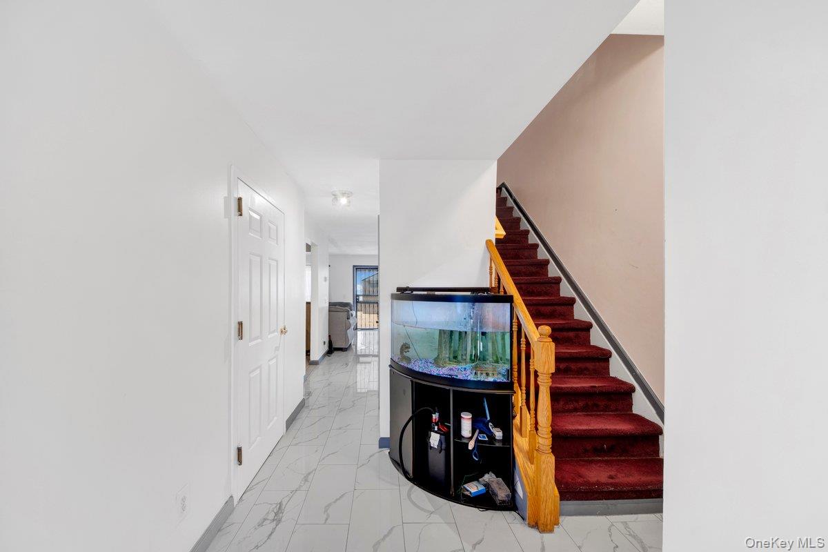 203 White Plains Road