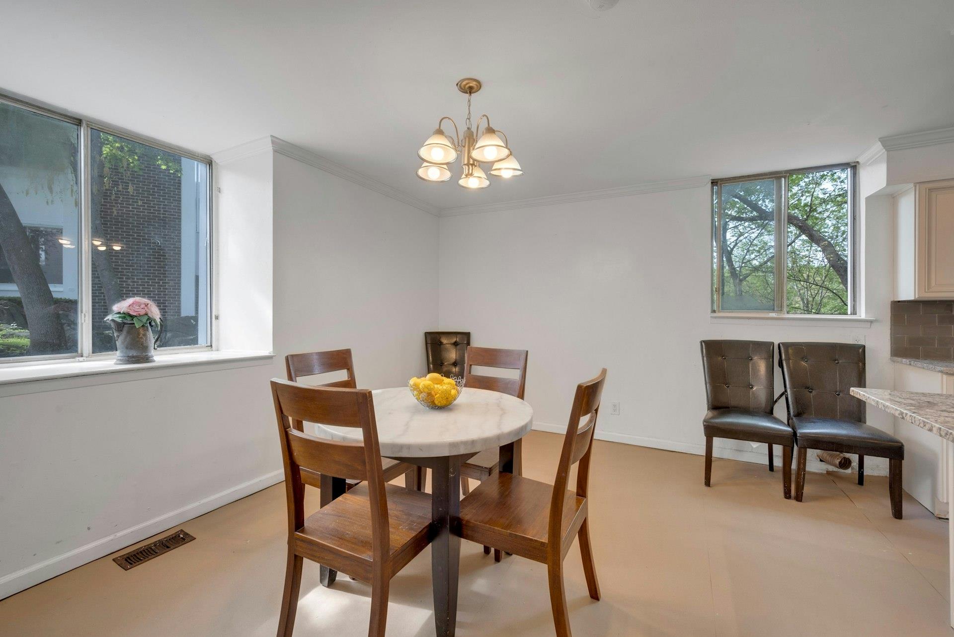 1111 Colony Drive #1111, Hartsdale, New York image 14