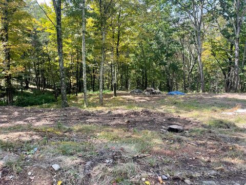 Vacant Land For Sale - LOT #2 Church Rd Ext<br/> Red Hook, NY 12571
