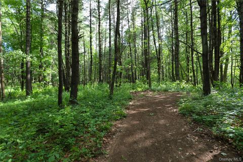 Vacant Land For Sale - TBD Old Kings Road<br/> Catskill, NY 12414