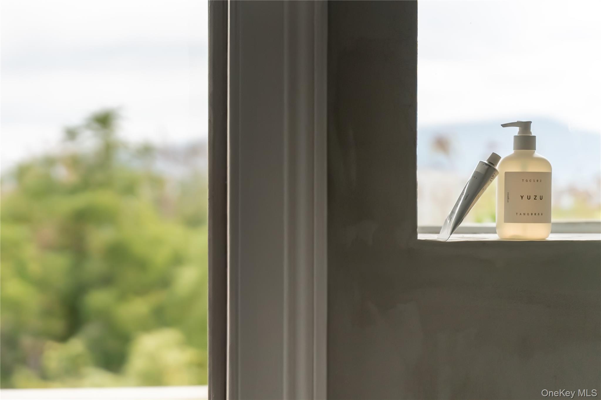 Newburgh, New York 12550, United States, 3 Bedrooms Bedrooms, ,2 BathroomsBathrooms,Residential,Active,216884