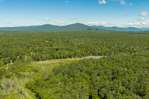 Vacant Land For Sale - TBD Buck Road<br/> Ulster County, Stone Ridge, NY 12484