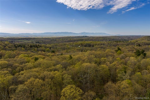 Vacant Land For Sale - Schultz Hill Road<br/> Staatsburg, NY 12580
