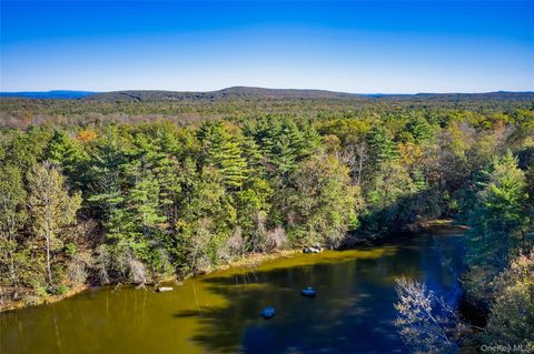 Vacant Land For Sale - Band Camp Road<br/> Saugerties, NY 12477